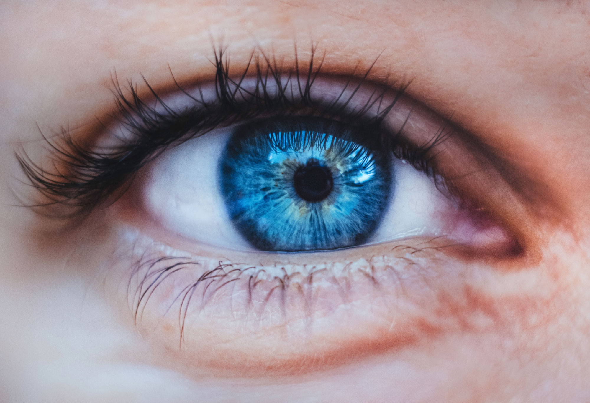 Auge_Header_FrickeAugenoptik